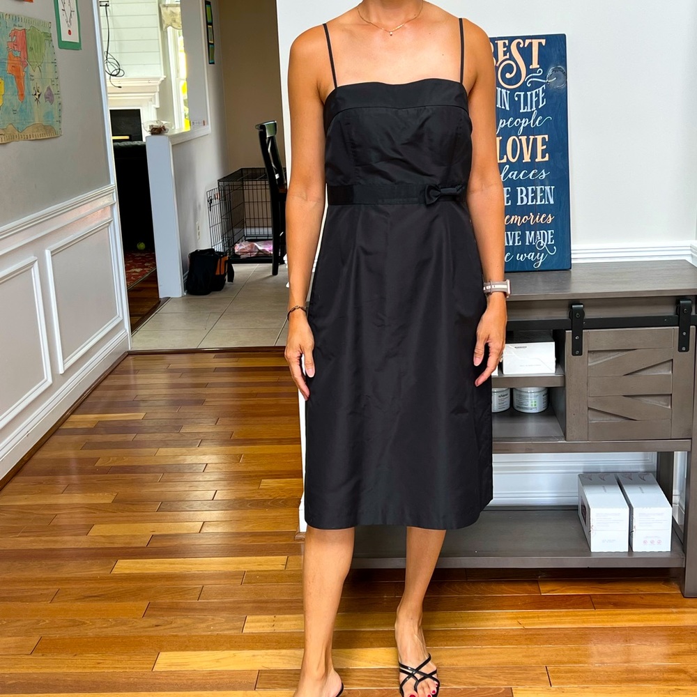 J Crew dress